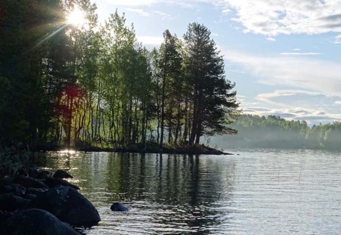 картинка Как я однажды чуть не заблудился в лесу сочинение Как я однажды чуть не заблудился в лесу
