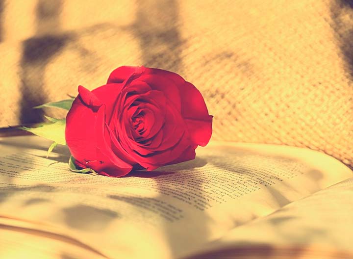 картинка Книга - сочинение-рассуждение Книга (рассуждение)