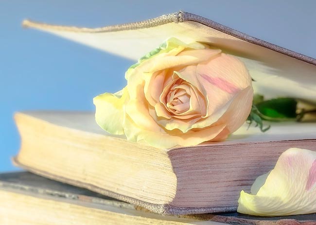 картинка Сочинение Моя любимая книга Моя любимая книга
