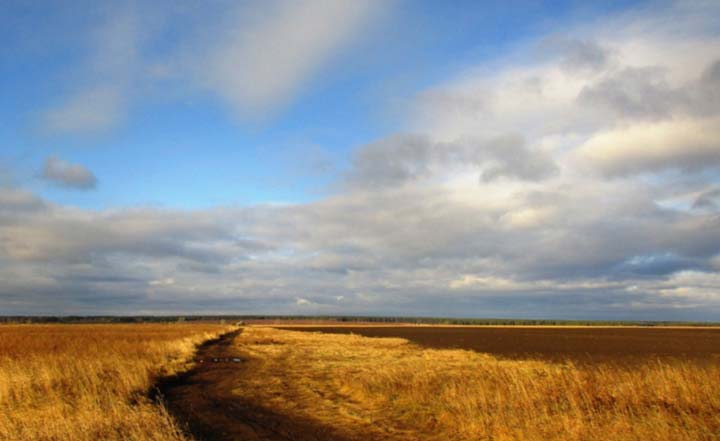 картинка Как вы понимаете устойчивое словосочетание «голубая мечта»? Итоговое сочинение Как вы понимаете устойчивое словосочетание «голубая мечта»?