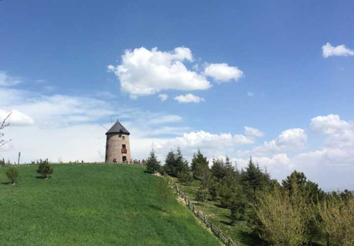 картинка Сочинение Примеры выбора из литературы Примеры выбора из литературы