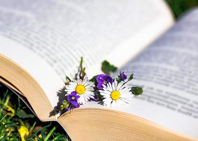 картинка Сочинение Важность книг (важность чтения для человека) Важность книг (важность чтения)