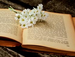 Стародум и книга Стародум образ