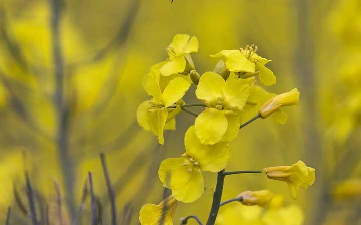 картинка Герои произведения Детство Горького Герои произведения Детство