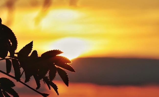 картинка Образ и характеристика Григория Муромского в повести Барышня-крестьянка Пушкина сочинение Образ и характеристика Григория Муромского в повести Барышня-крестьянка