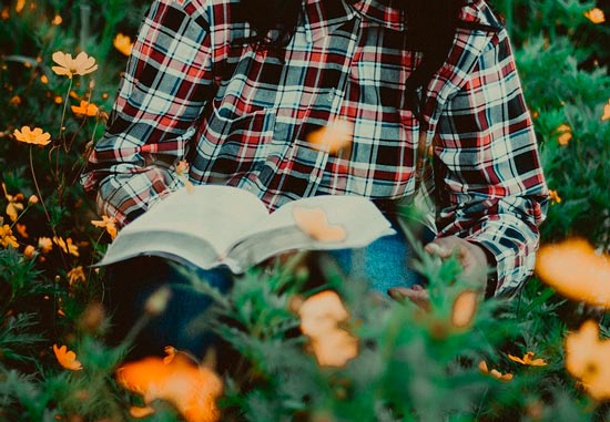 картинка Сочинение Мое любимое занятие чтение книг Мое любимое занятие чтение книг