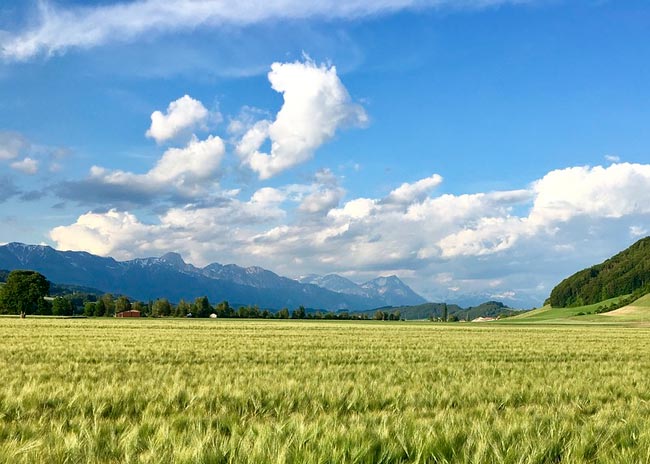 картинка Сочинение Папа в армии (как папа служил в армии) Папа в армии