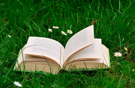 картинка Сочинение Книга наш друг и советчик 7 класс Книга наш друг и советчик