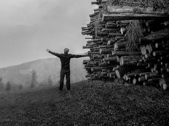 картинка Сочинение на тему Доверие. Что это такое рассуждение 9 класс 15.3 ОГЭ Доверие