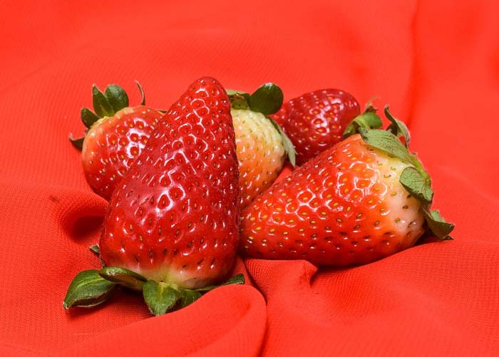 картинка Сочинение по картине Машкова Клубника и белый кувшин 5 класс Машков - Клубника и белый кувшин